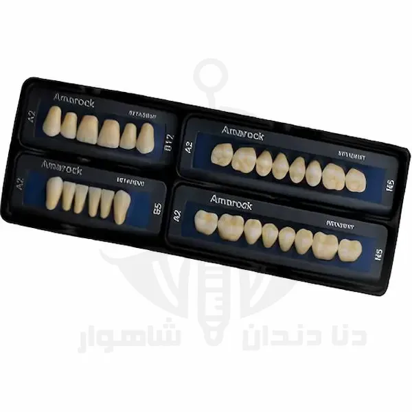 AMAROK DENTURE TEETH SET (دندان مصنوعی آماروک)