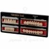 ISOSIT DENTURE TEETH SET (دندان مصنوعی ایزوسید)